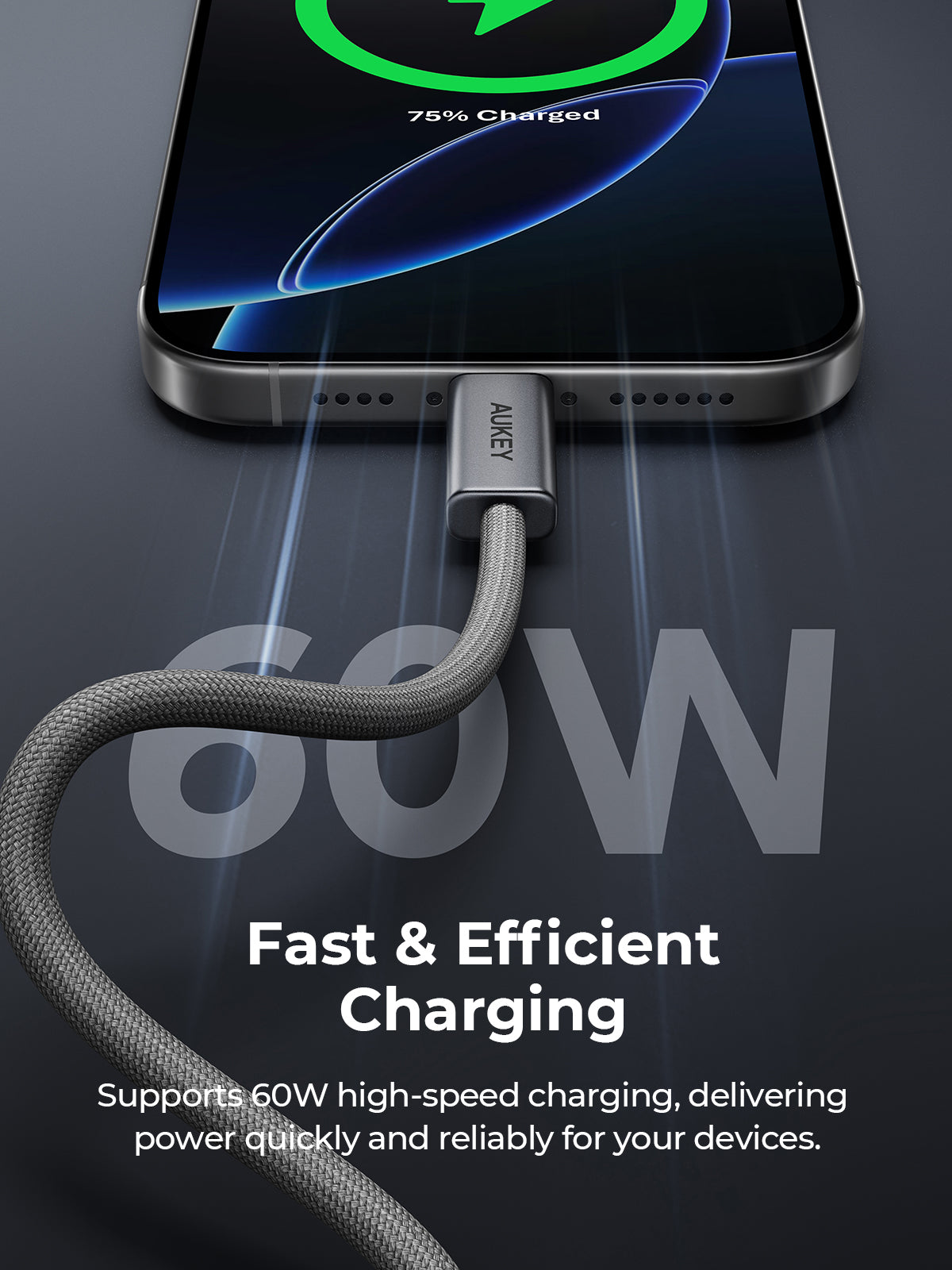 AUKEY CB-DCC061 Circlet Blink  60W USB2.0 C TO C 60W 1M